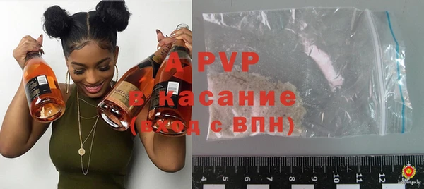 дживик Богданович
