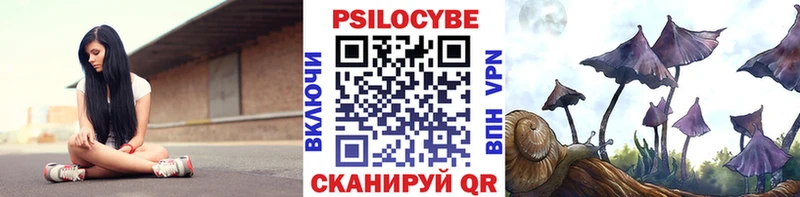 Псилоцибиновые грибы Psilocybe  Вилючинск 